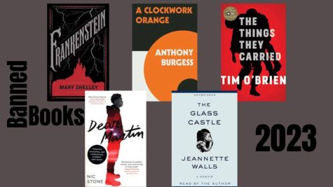 Banned Books of 2023