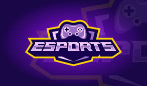 Potosi High School is officially starting an Esports Team