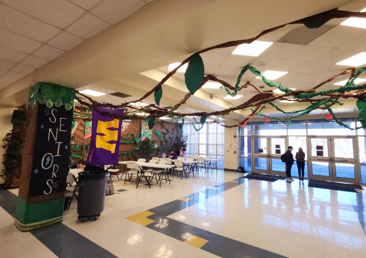 The seniors decorated the commons. Their theme was welcome to the jungle. 