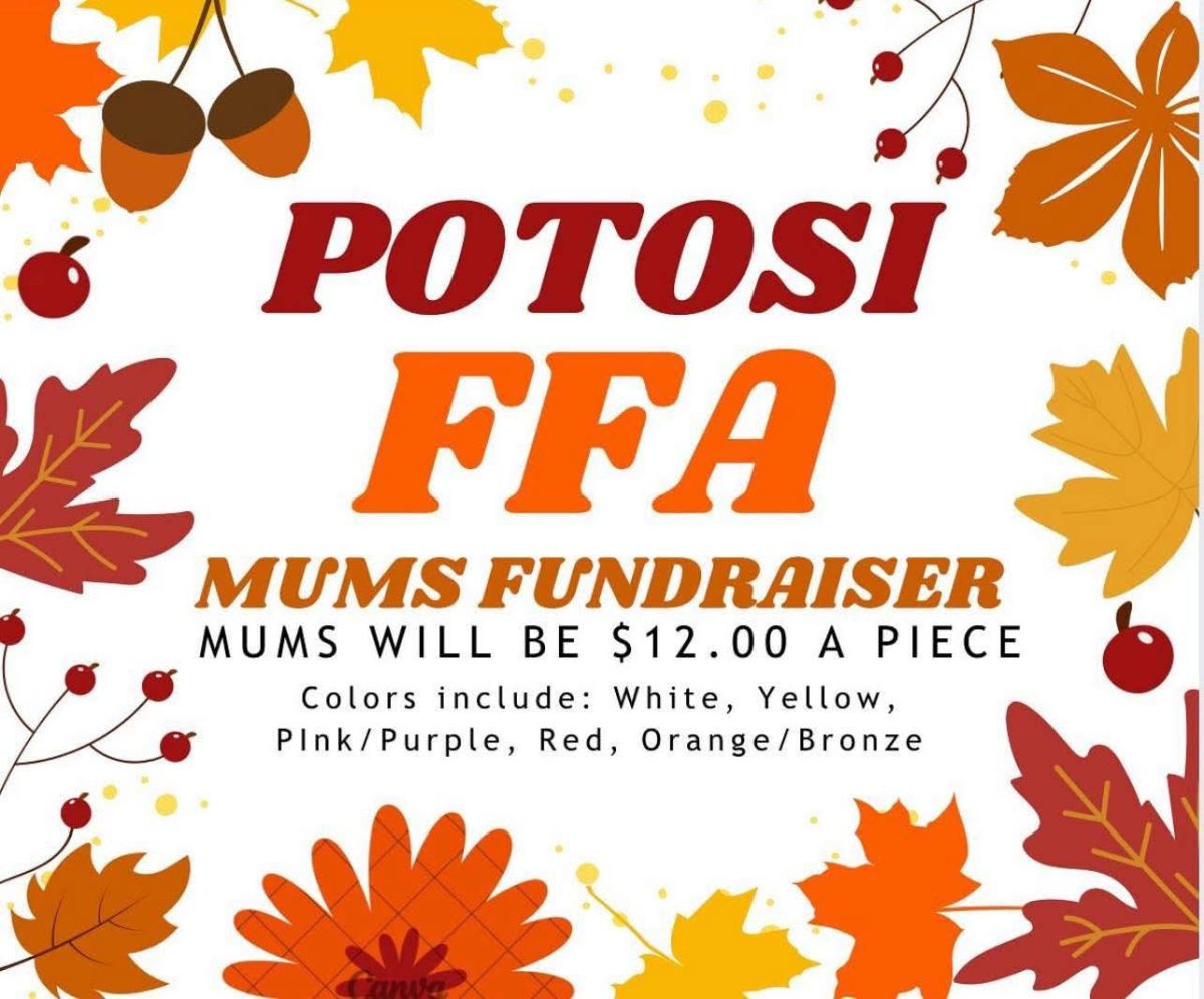 Potosi High Schools Announces Annual FFA Mum Sale!