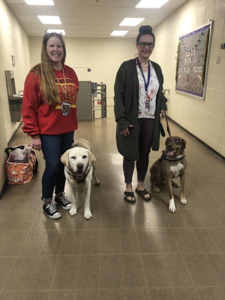 Waddie & Rogue, two miracle workers.